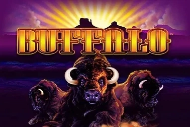Buffalo King game art